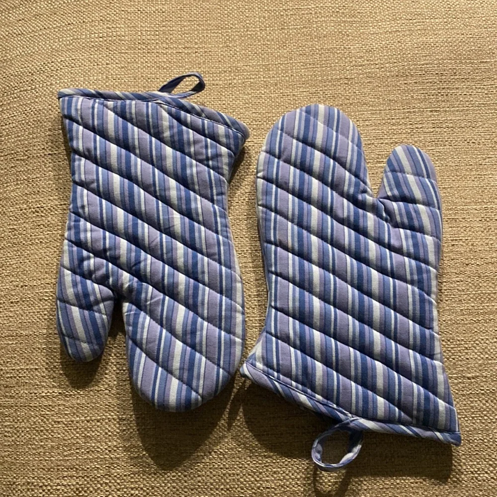 Crate & Barrel Dejeuner Oven Mitt Blue